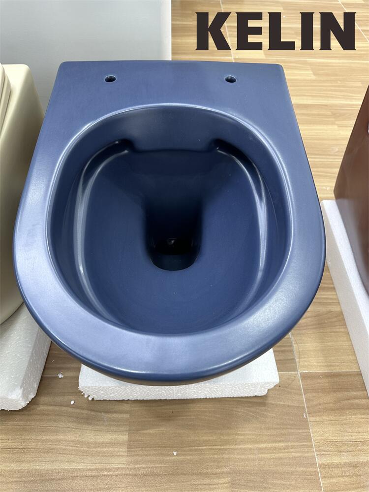 โถสุขภัณฑ์แบบแขวนผนังทรงไข่ รุ - Home For Bathroom บทวิจารณ์และราคา